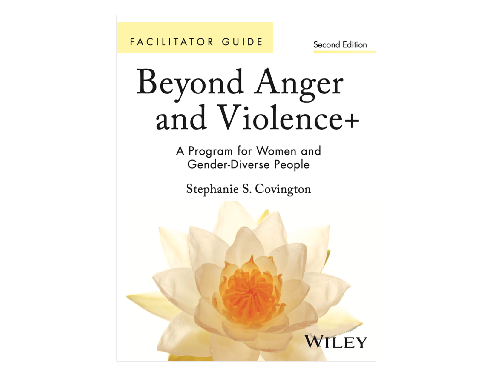 Beyond Anger and Violence: A Program for Women